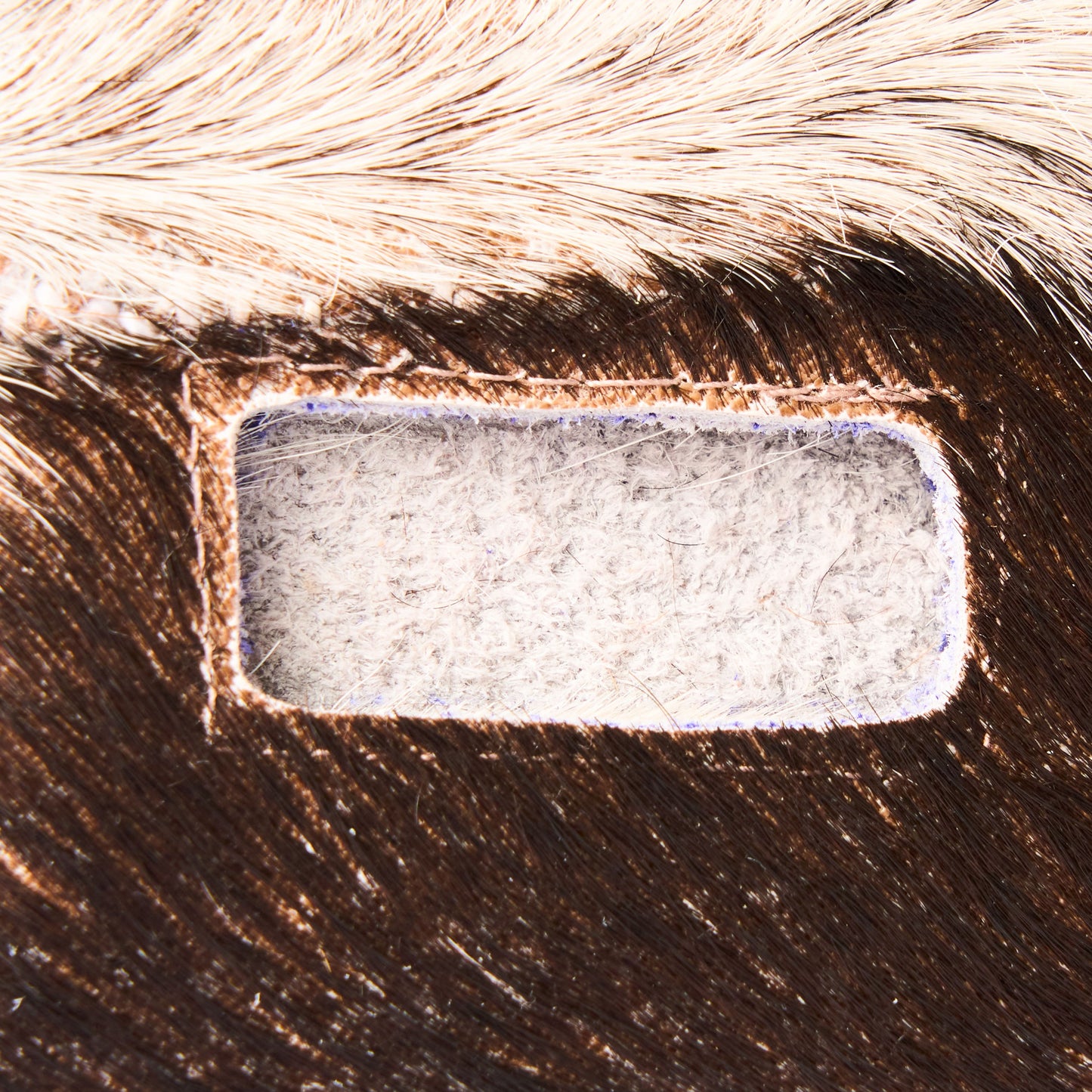 COW HAIR CARD HOLDER - BI –SCAR (V)