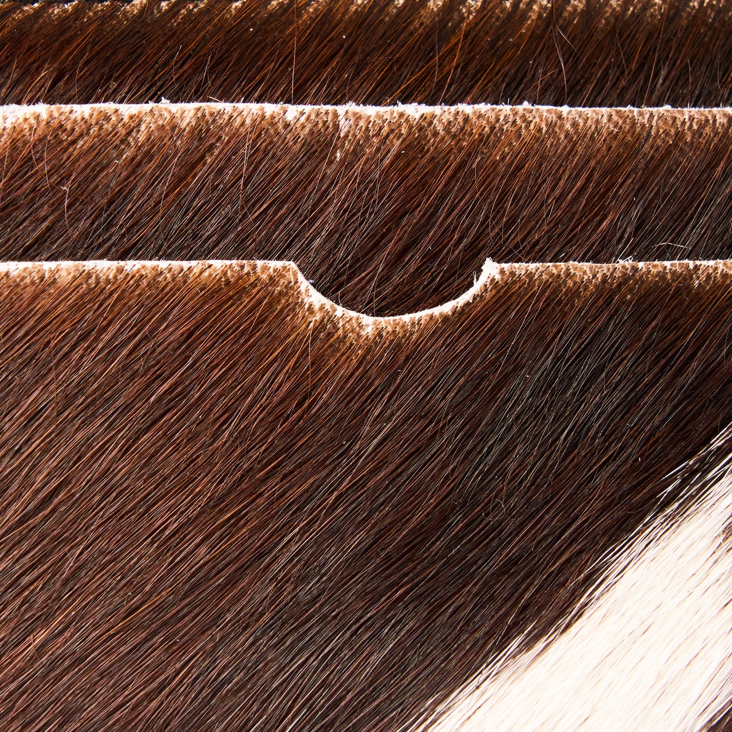 COW HAIR CARD HOLDER - DIAGONAL SCAR   (H)