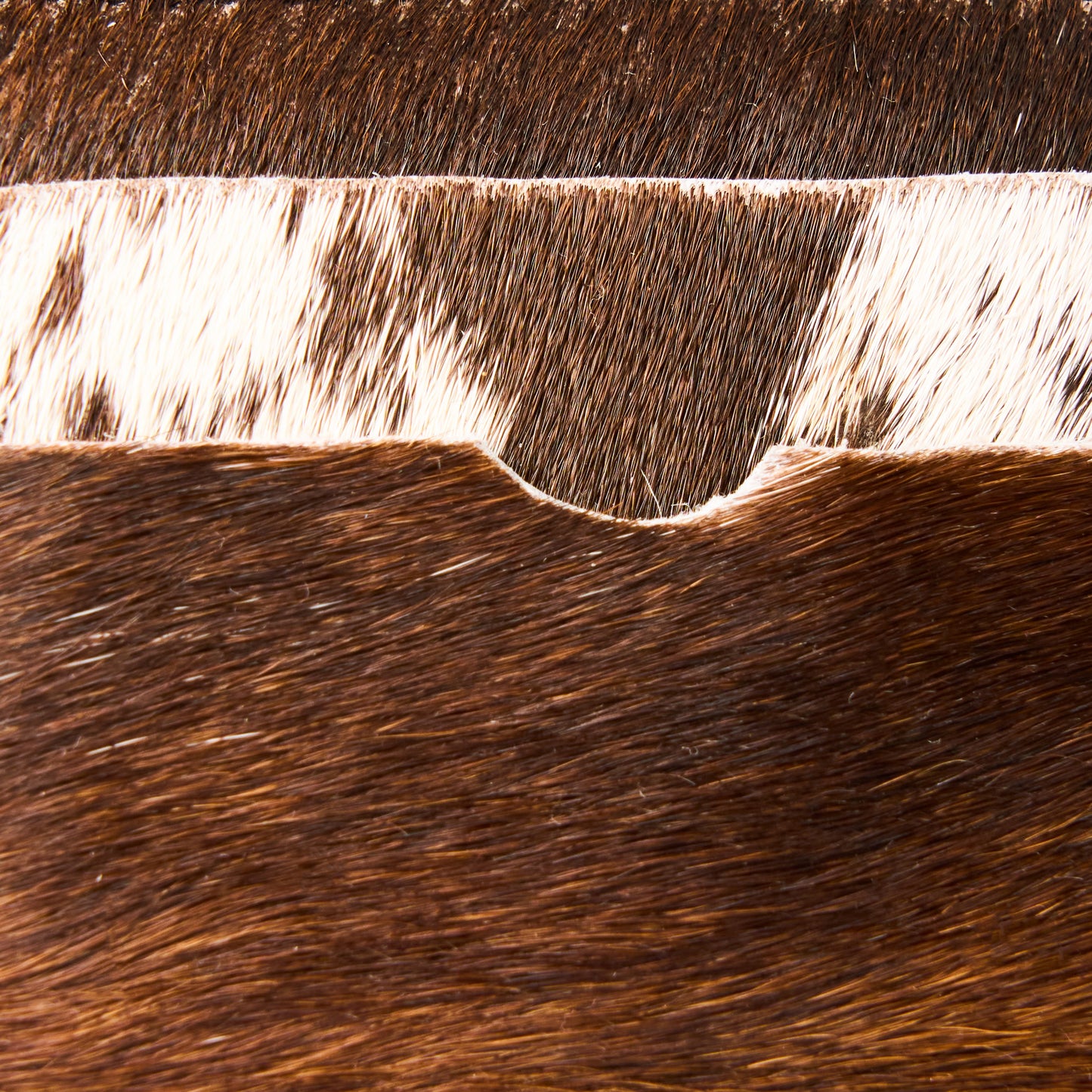 COW HAIR CARD HOLDER -  HORIZONTALSCAR  (H)
