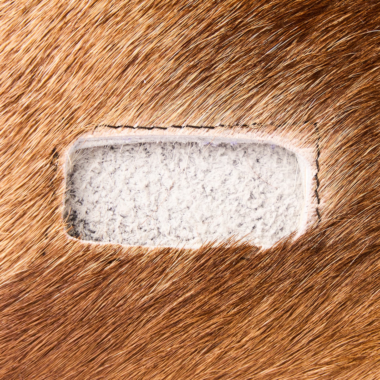 COW HAIR CARD HOLDER -  ASYMMETRIC SCAR (V)