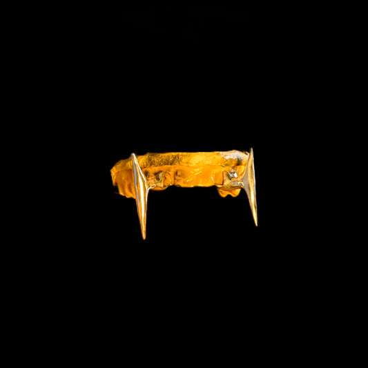 Silver Fang GRILLZ