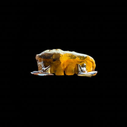 Ducard GRILLZ